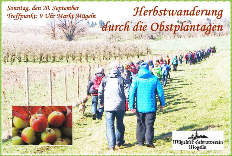 Read more about the article Herbstwanderung